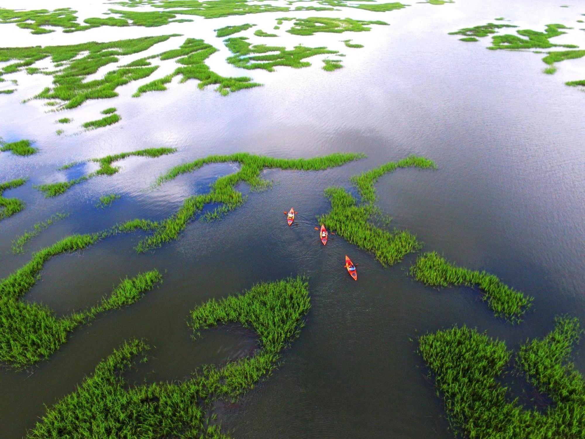 80 Mooring Buoy Villa Hilton Head Island Ngoại thất bức ảnh